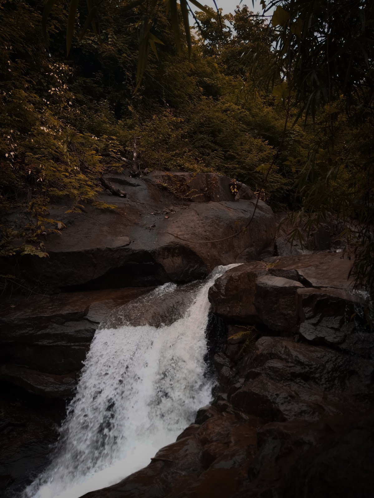 Kambikkayam Waterfalls