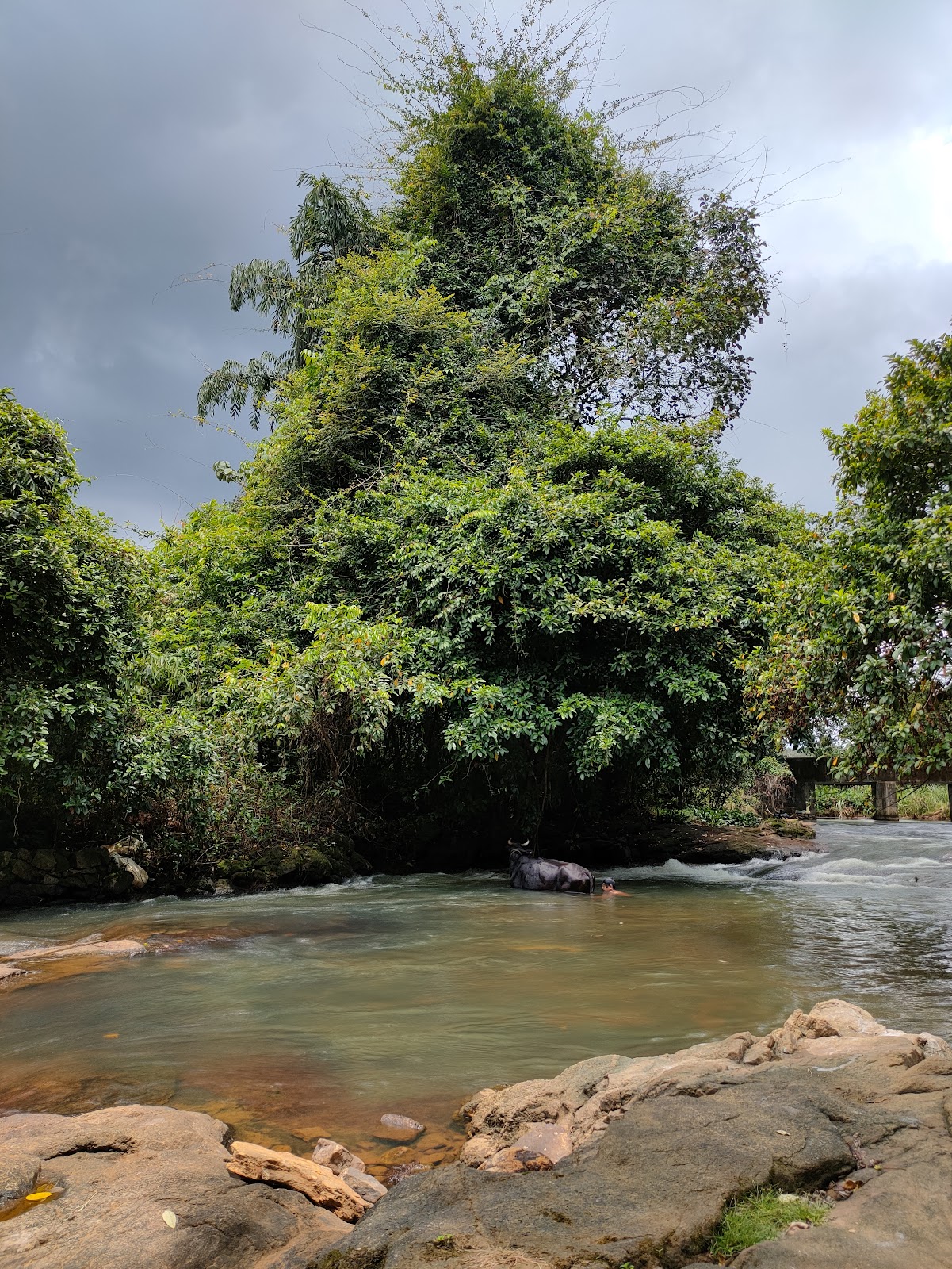 Kanichattupara Waterfalls