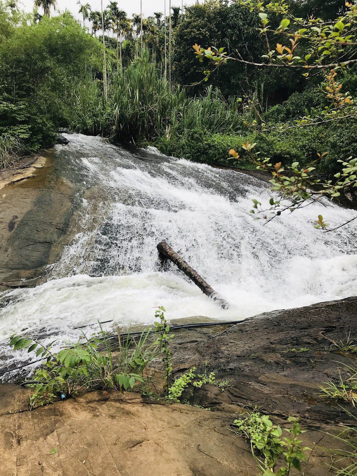 Puzhamoola Waterfalls
