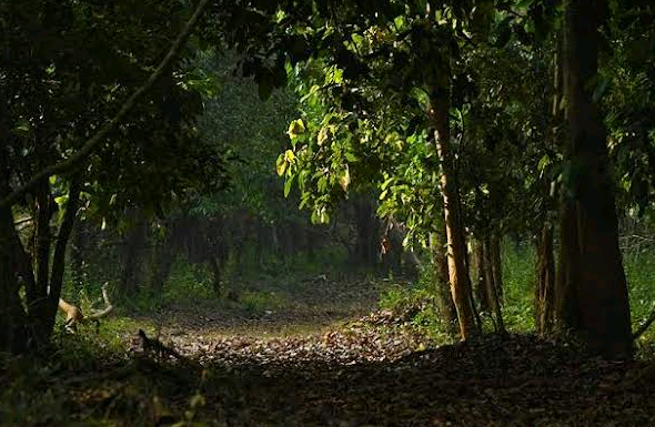 Aralam Wildlife Sanctuary