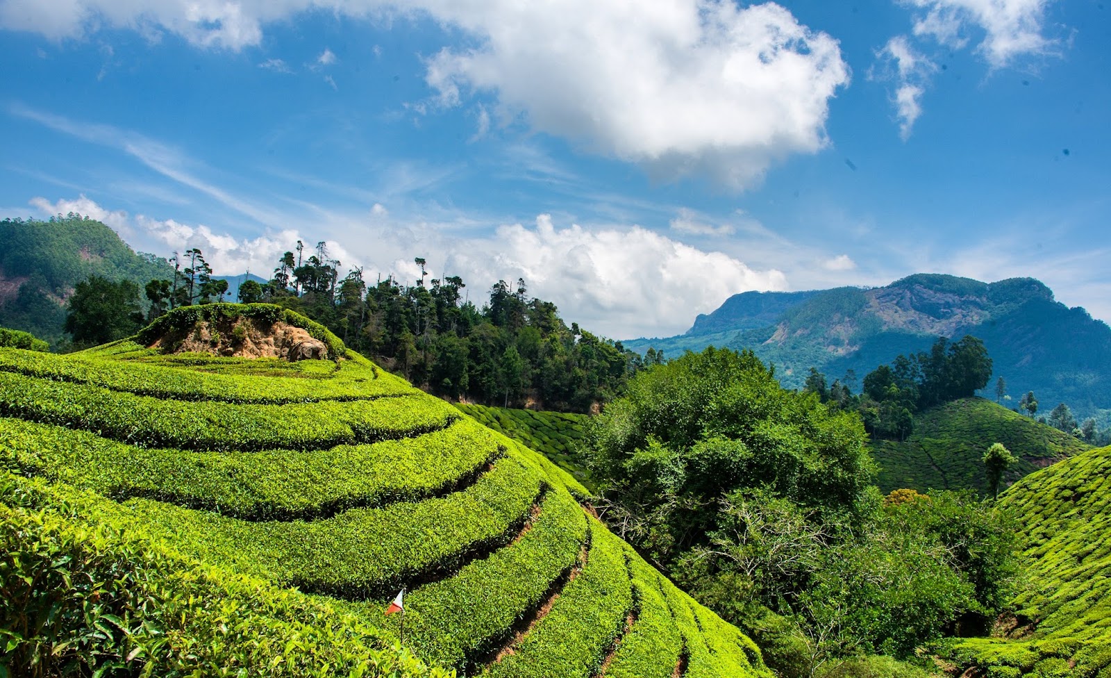 8th Mile Munnar
