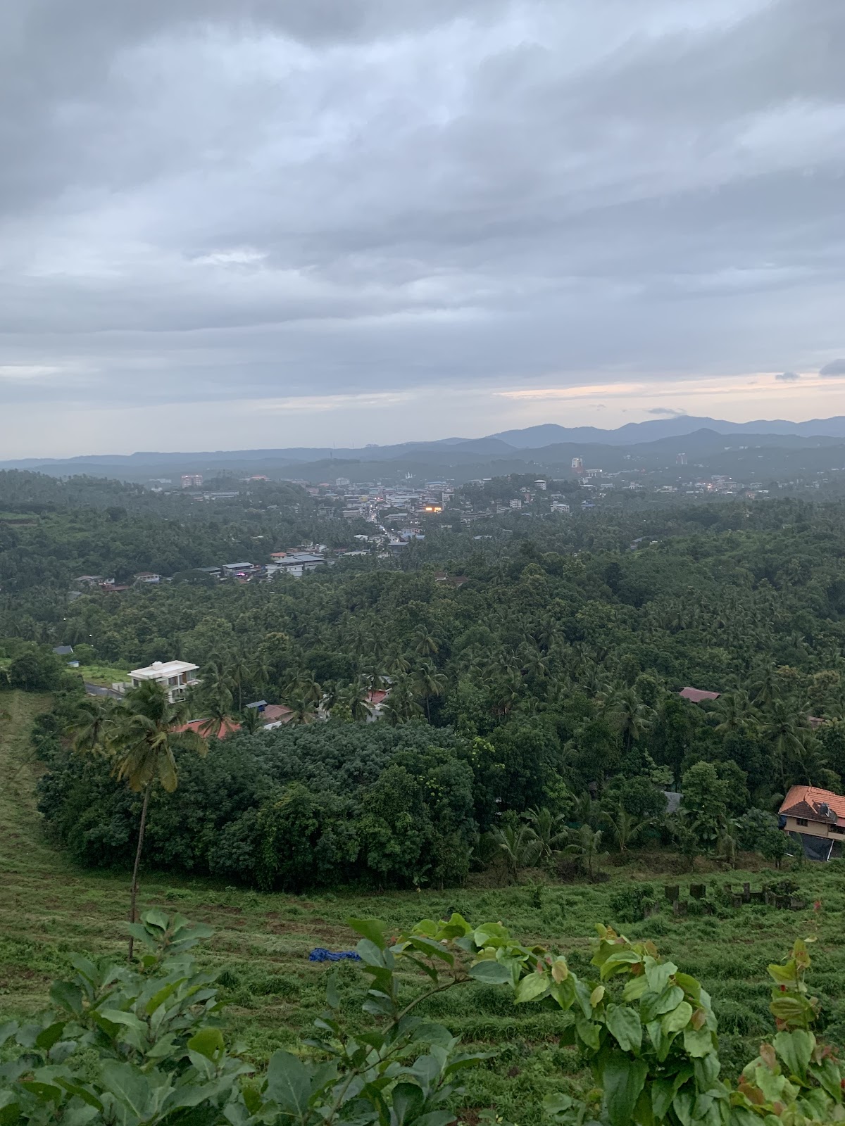Viewpoint Manjeri