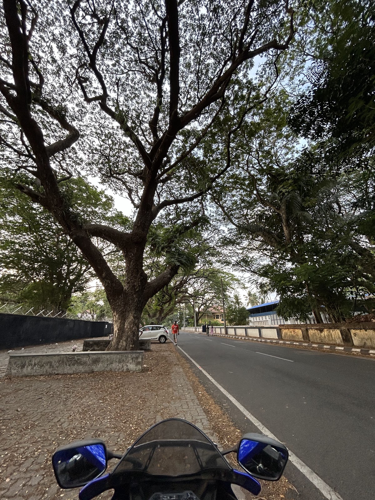Dronacharya Relaxing Point
