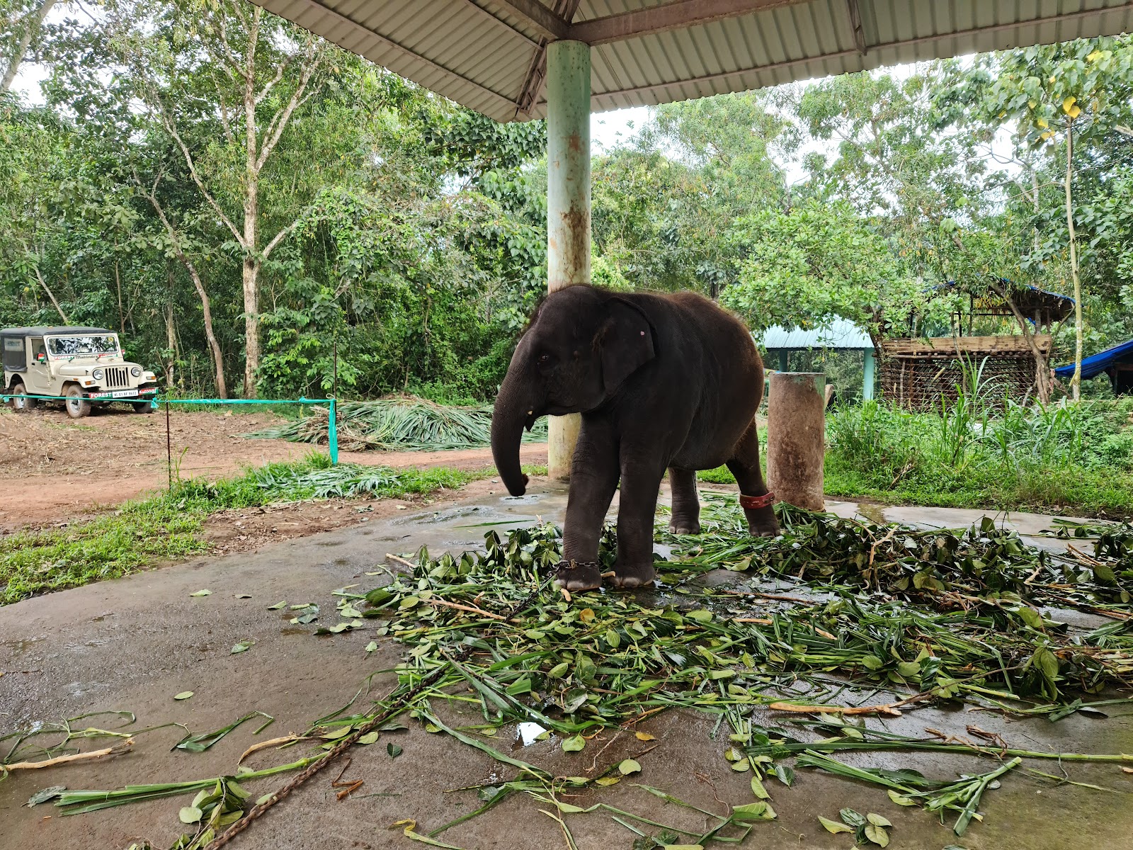 Kottur Ecotourism