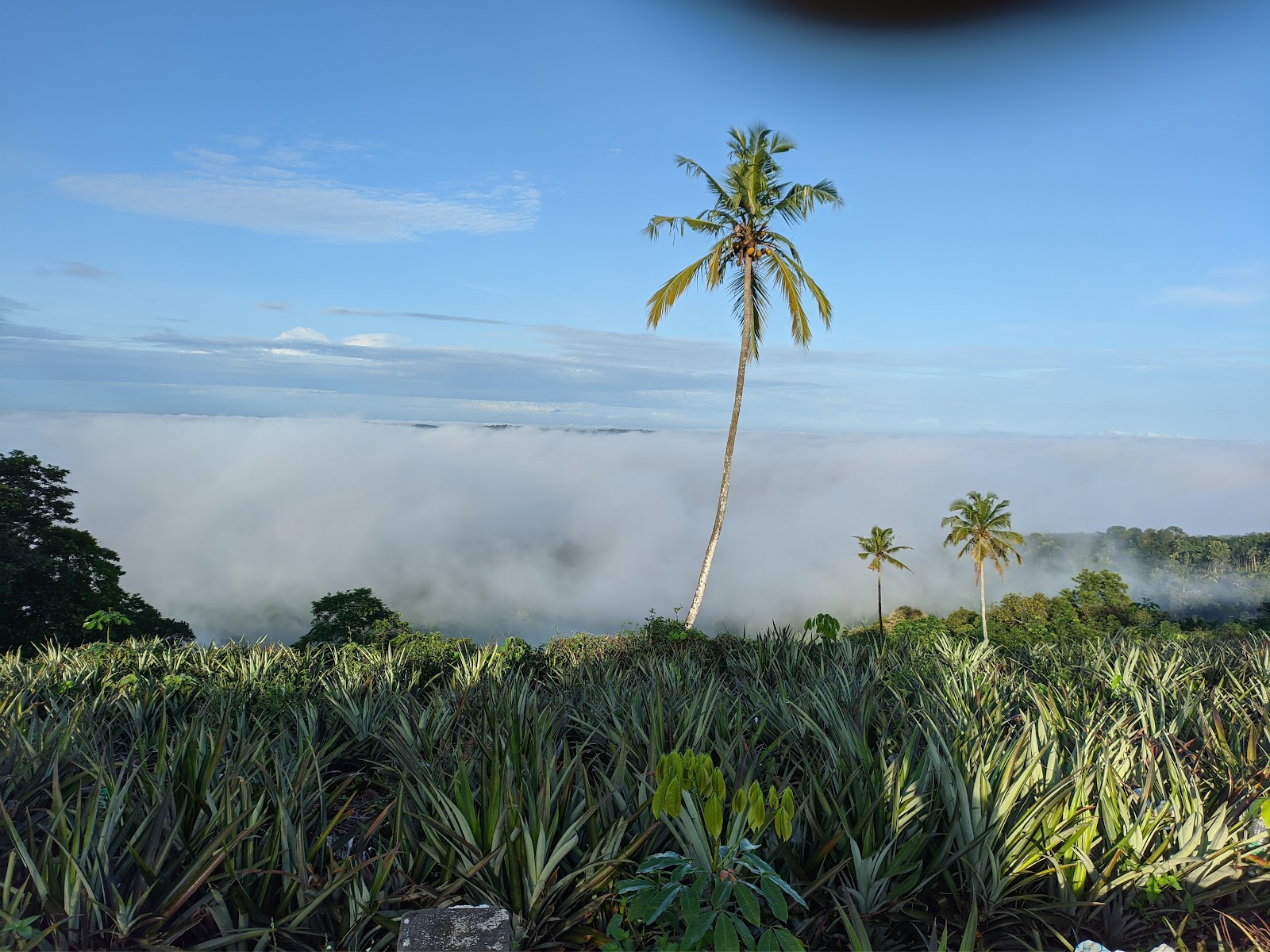 Kalamukalam Viewpoint