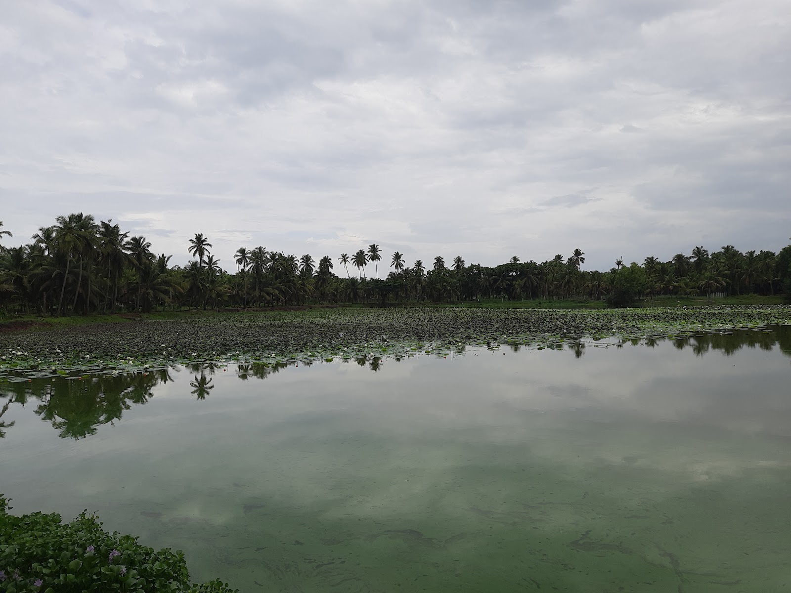 Theertham