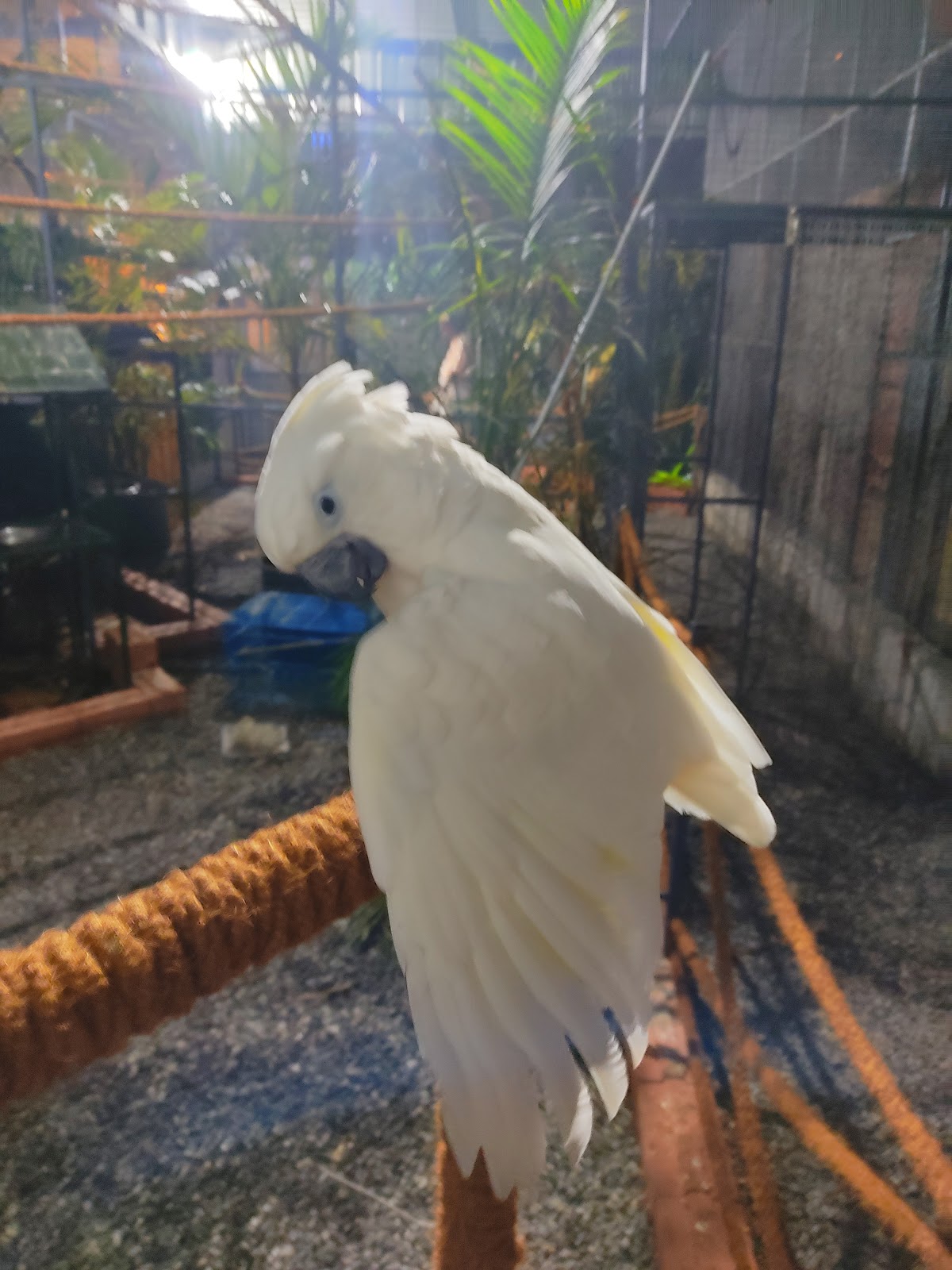 Birds Park Calicut