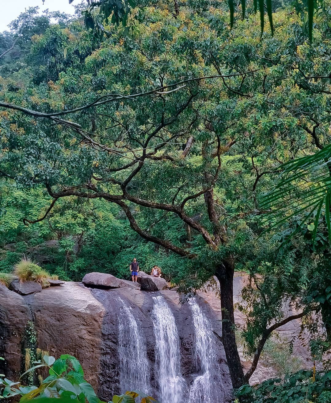 Aaliveenakuthu Waterfalls