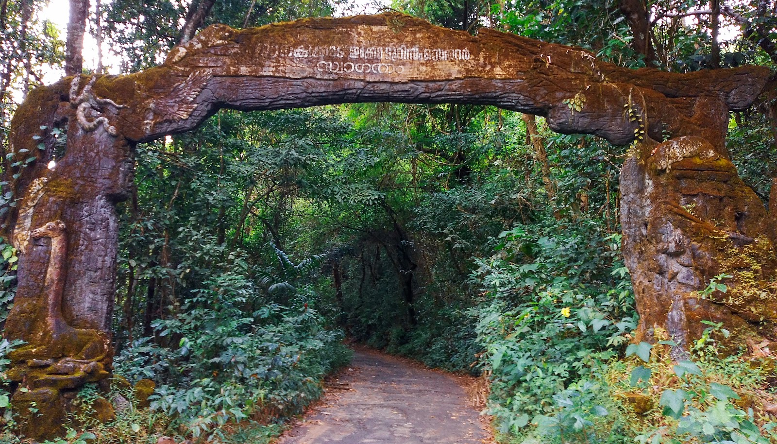 Janaki Forest