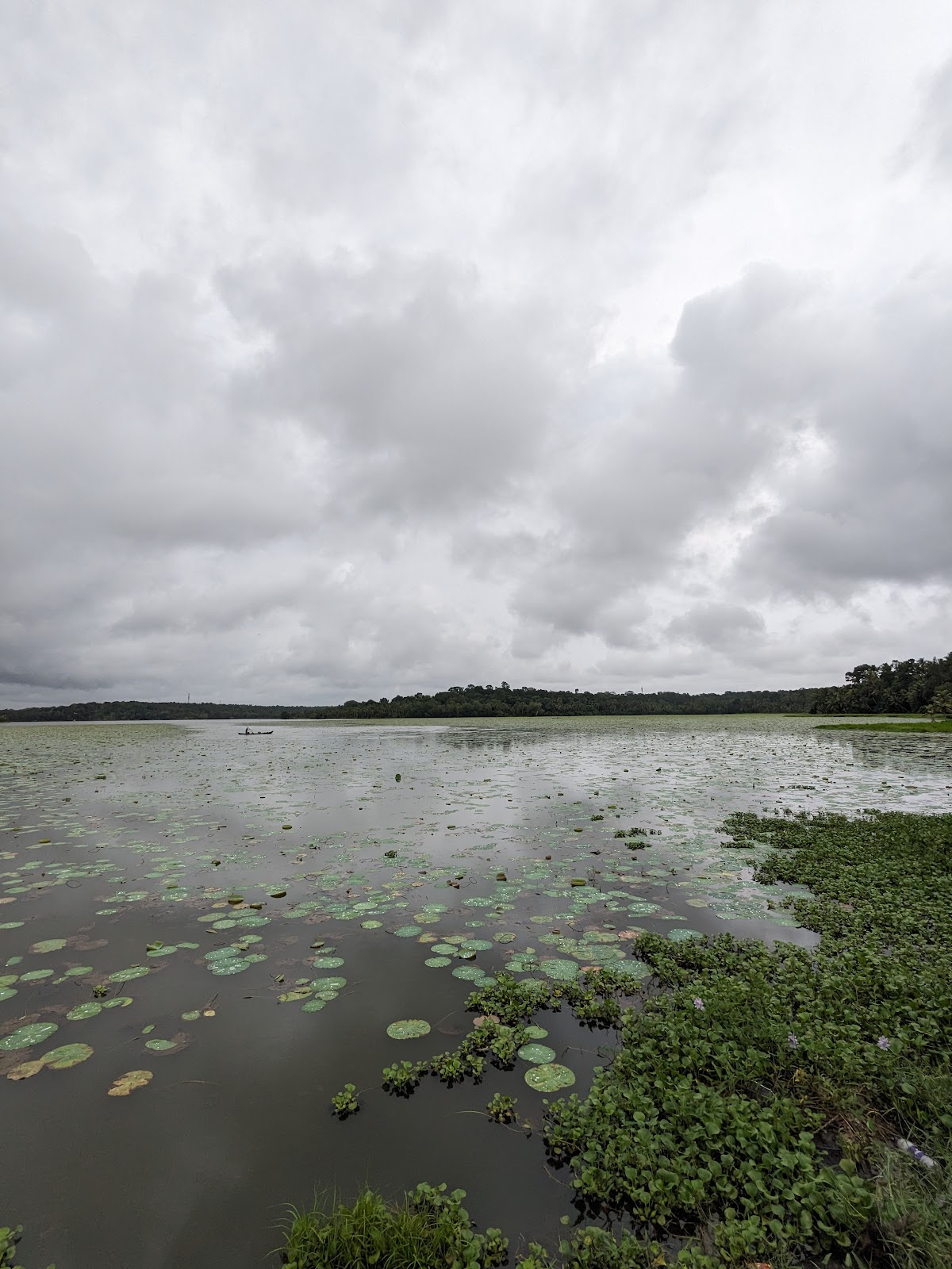 Lotus Point Palappooru