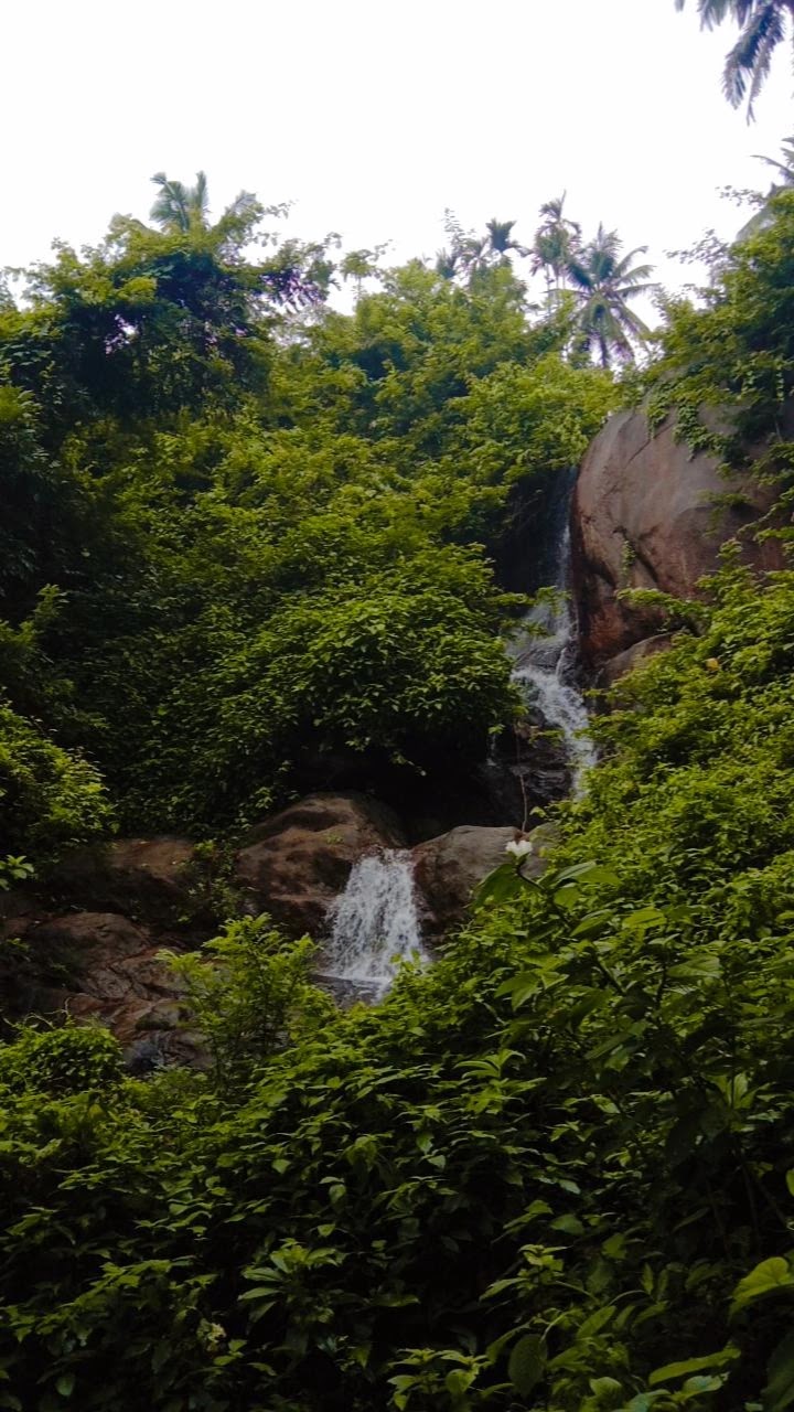 Cobra Waterfalls