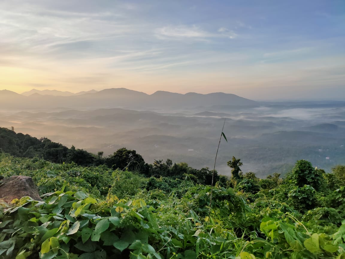 Puralimala Viewpoint