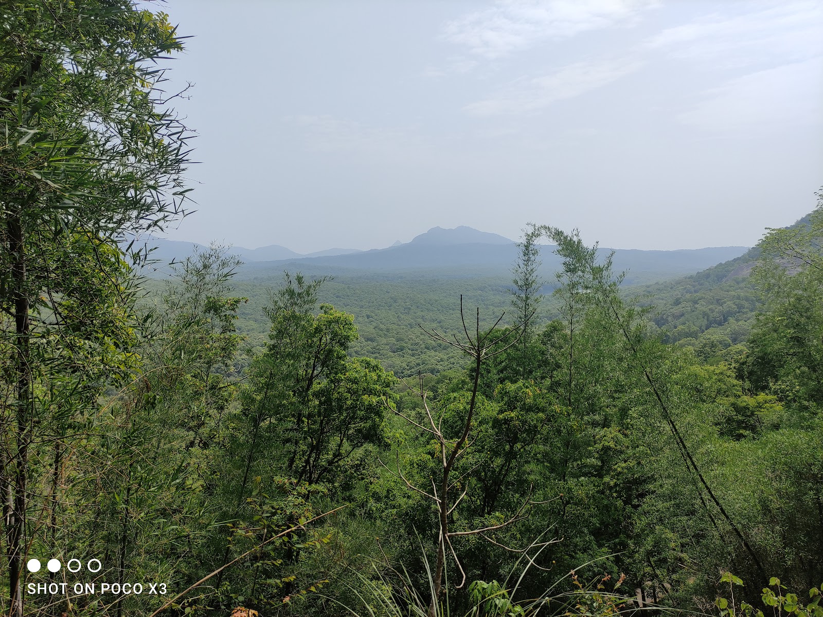 Thunakkadavu Dam View