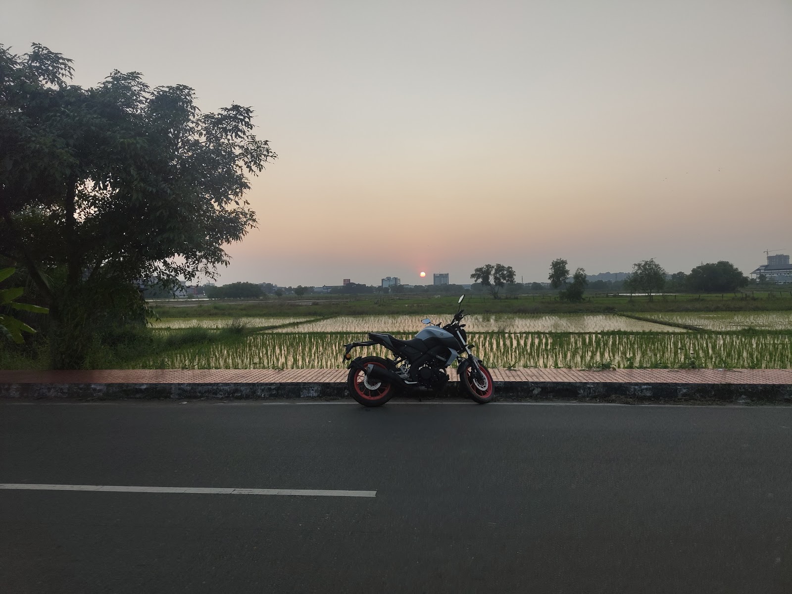 Sunset Spot