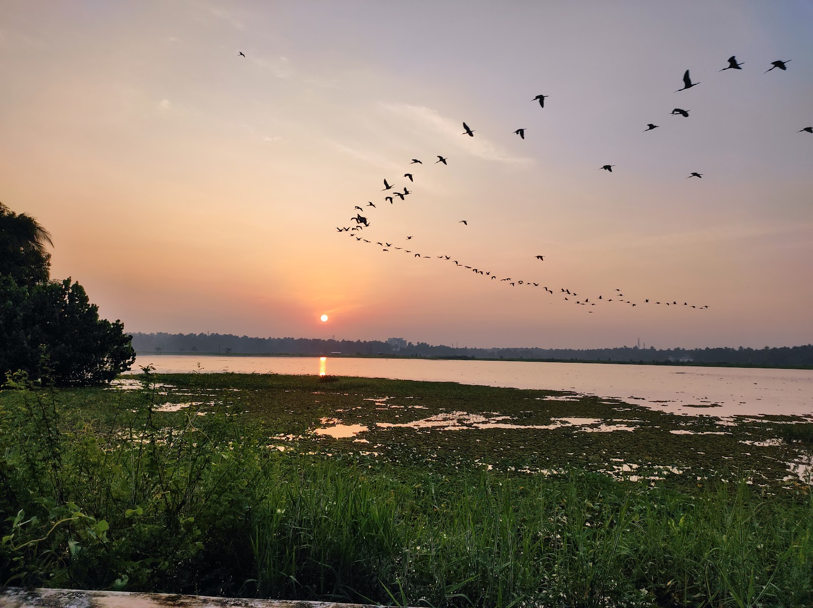 Kariattukara Padam