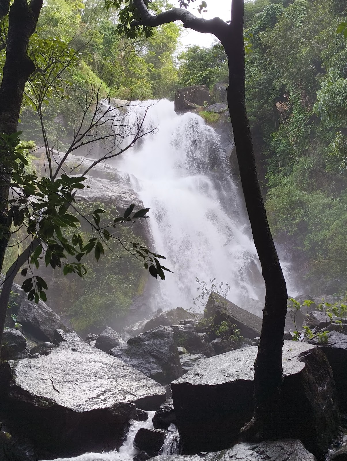 Peter Falls