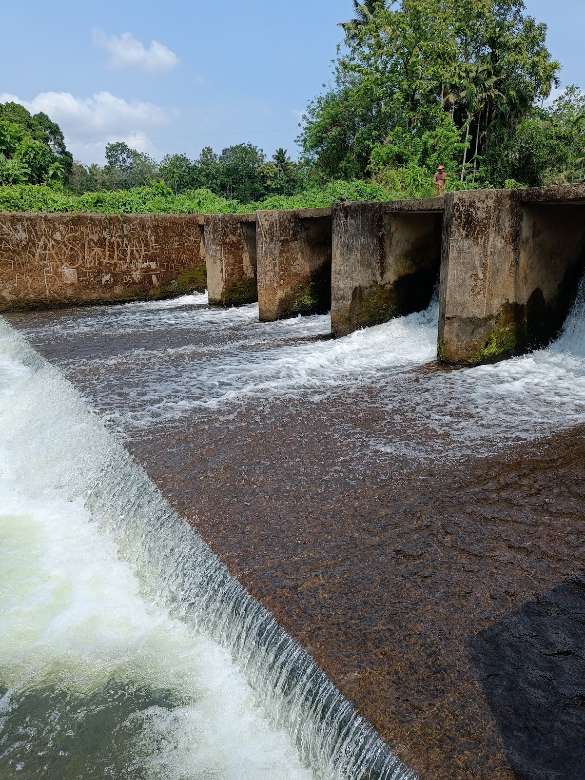 Thrikkariyoor Check Dam