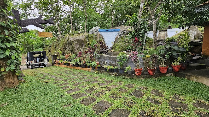 Natura la casa stay view
