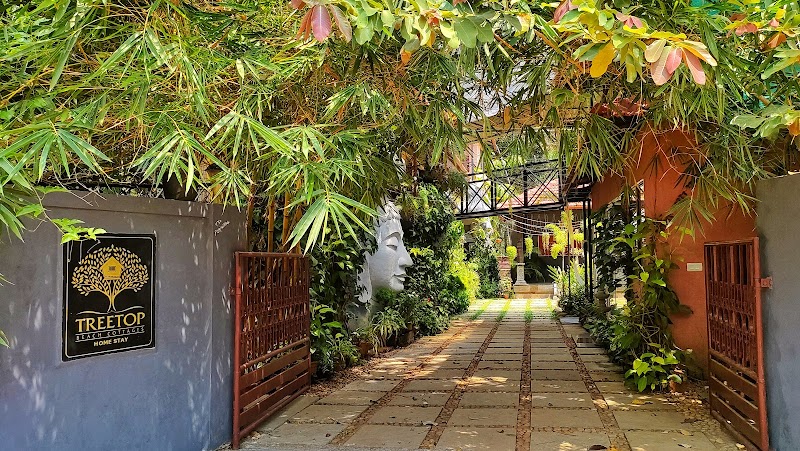 Treetop Beach Cottages Homestay photo