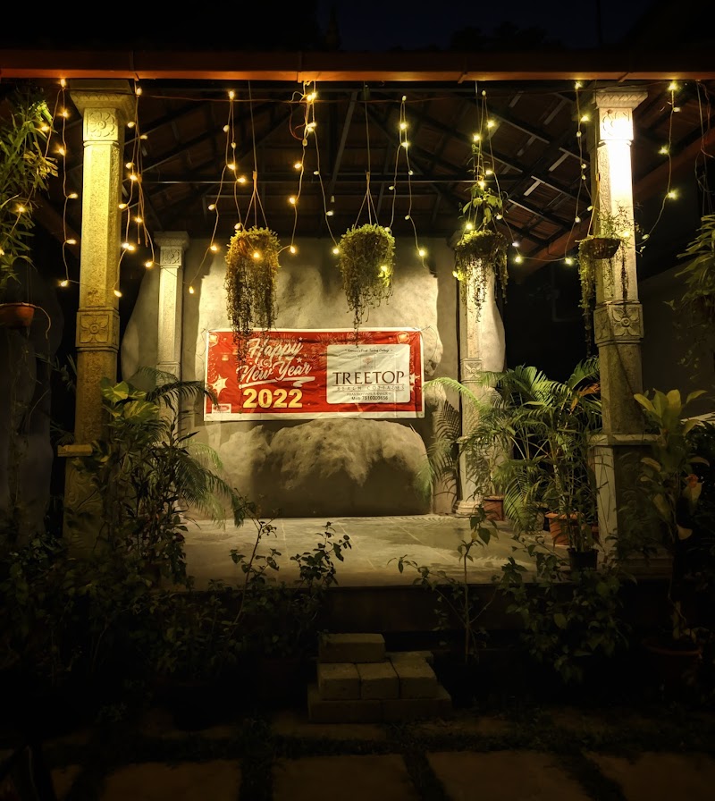 Treetop Beach Cottages Homestay stay view