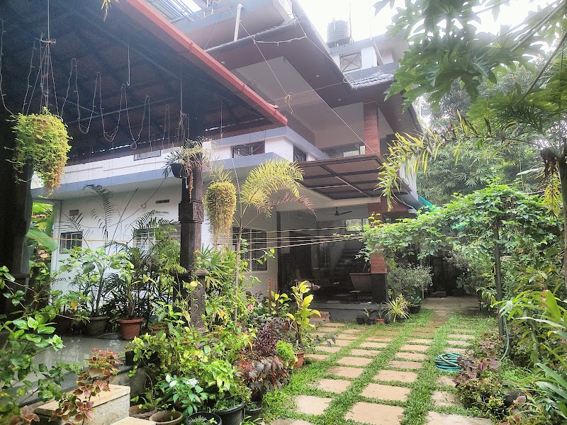 Treetop Beach Cottages Homestay travel photo