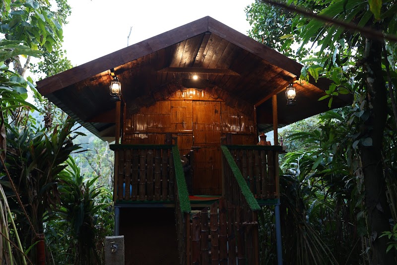 Homes Homestay property view