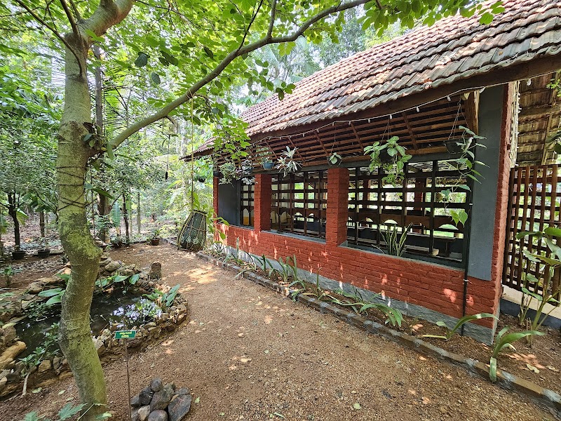 Stoneage Homestay photo