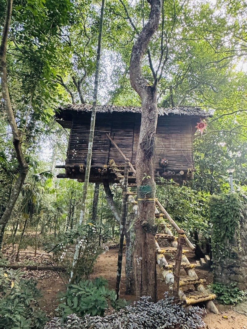 Stoneage Homestay room