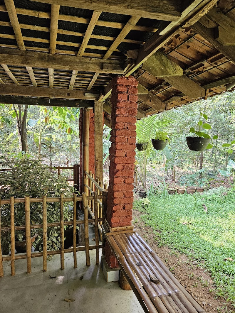 Stoneage Homestay property view