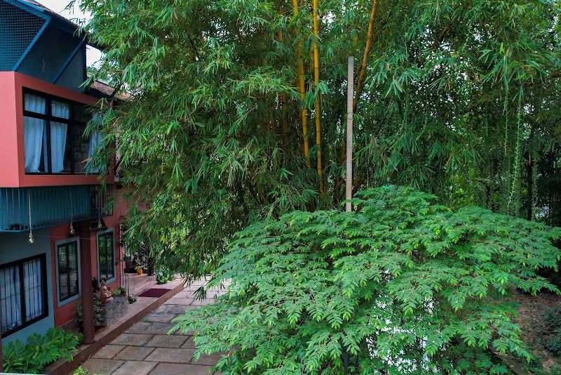Manah Homestay travel photo