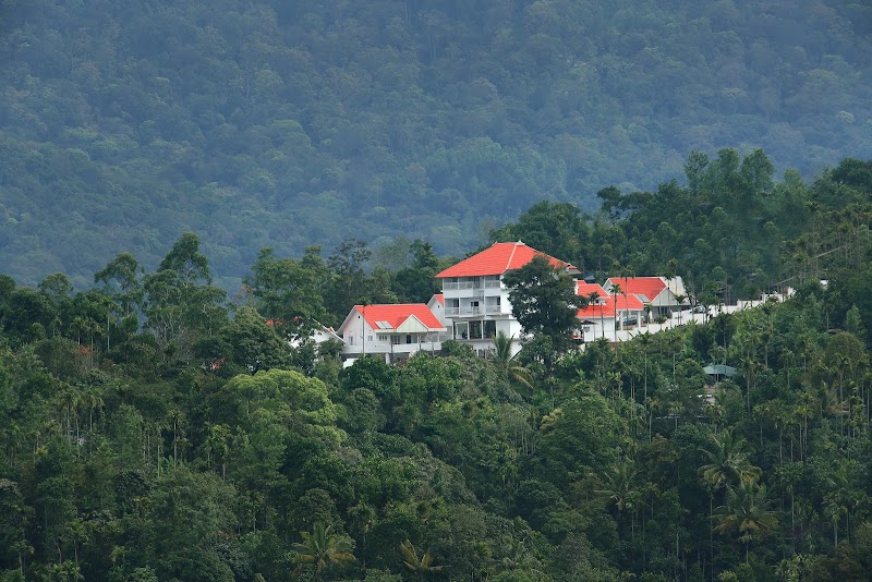 The Fog  Resorts
