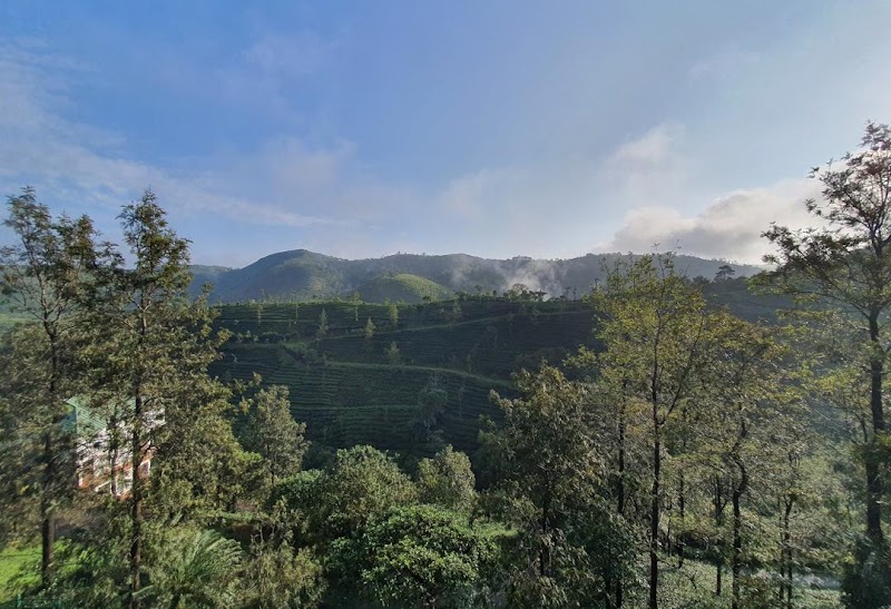 Falcon Crest Resort travel photo