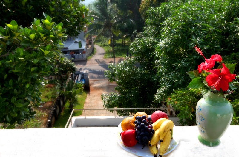 Little Paradise Homestay travel photo