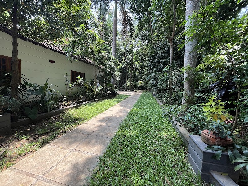 Softouch Ayurveda Village & Resort stay view