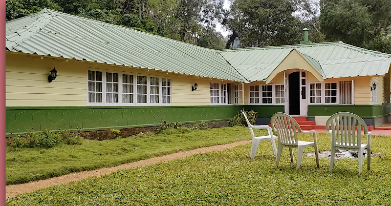 Green Forrest Home Stay