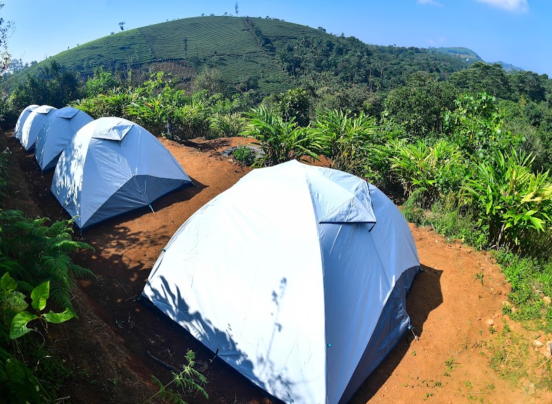 Tent Life property view