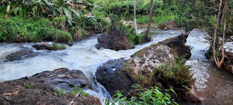 Riverbench Homestay property view
