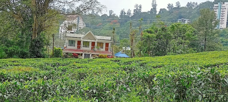 Peace Valley Homestay