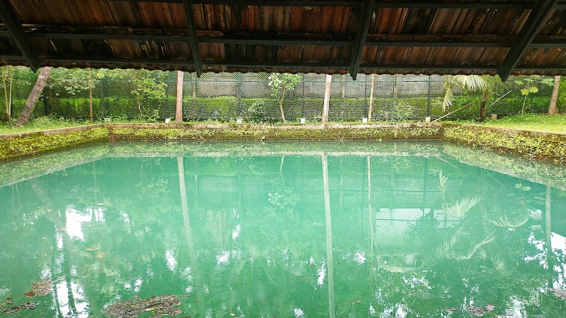 Kunnathur Mana Heritage Resort stay view