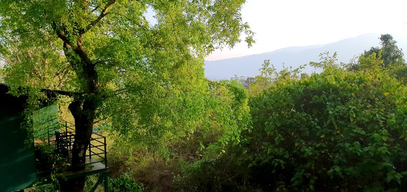 Wayanad Treehouse travel photo