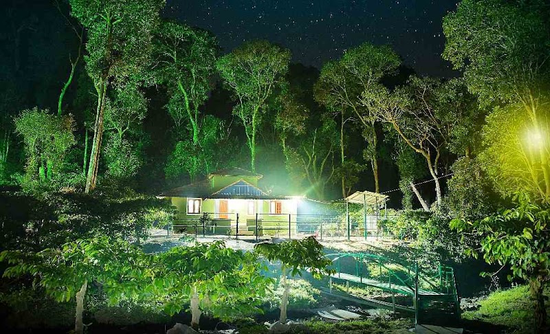 Coffee Valley Resort stay view