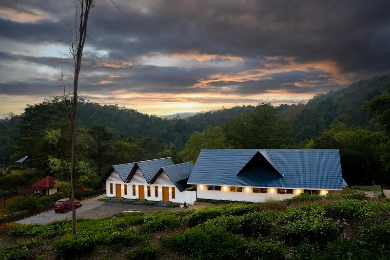 Jungle View Resort