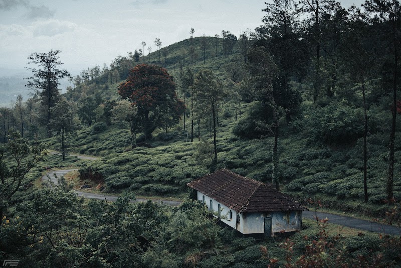 Black Eagl's Camp room