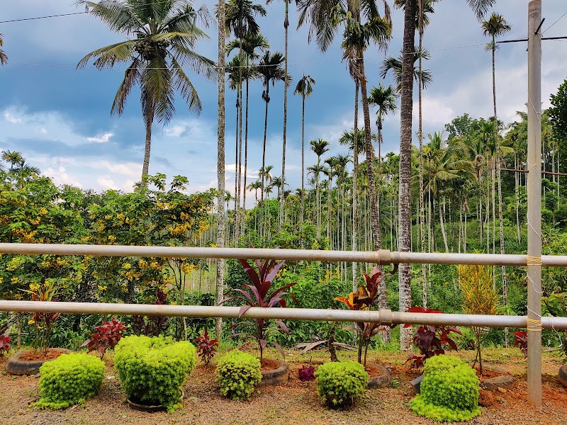 Vengachuvattil Homestay - A Wandertrails Stay stay view