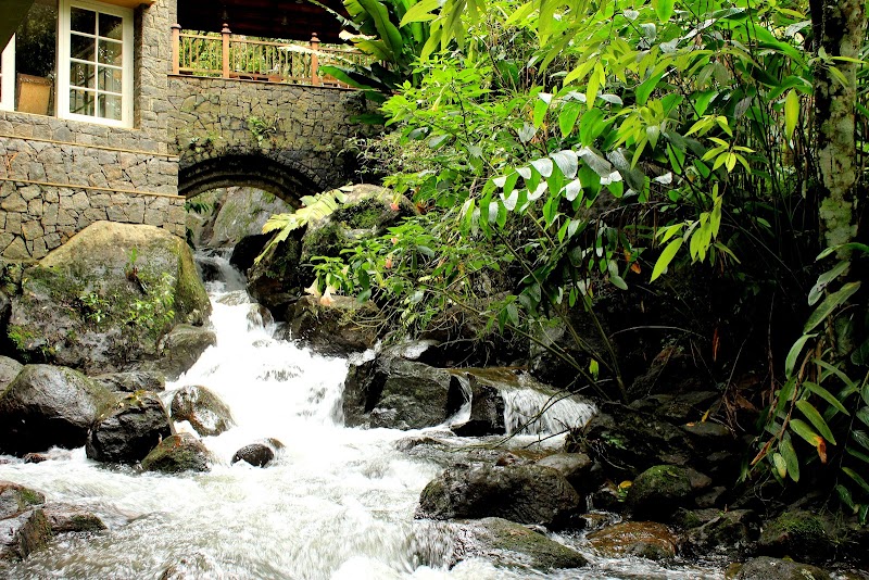 Mystic Mayapott - Kondody Hotels property view