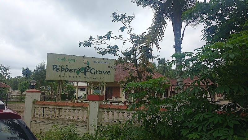KTDC Pepper Grove property view
