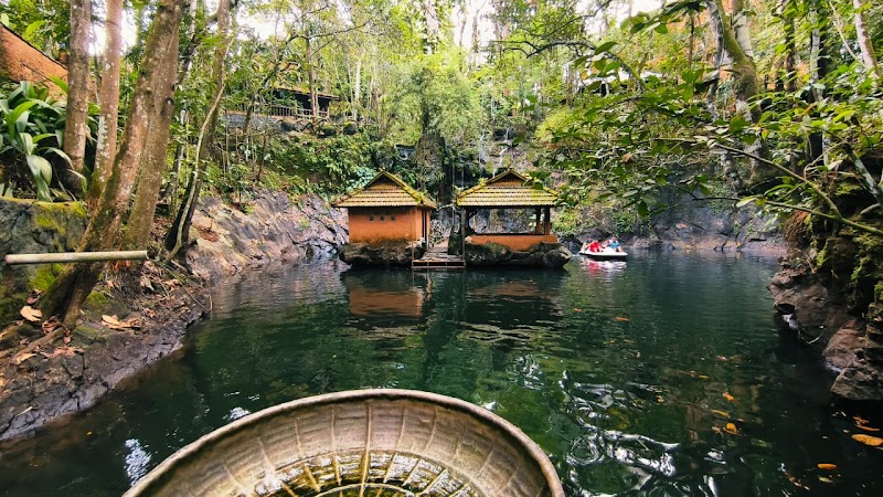 Rain Forest Ayur County Resort photo