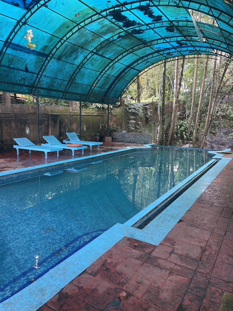 Rain Forest Ayur County Resort stay view
