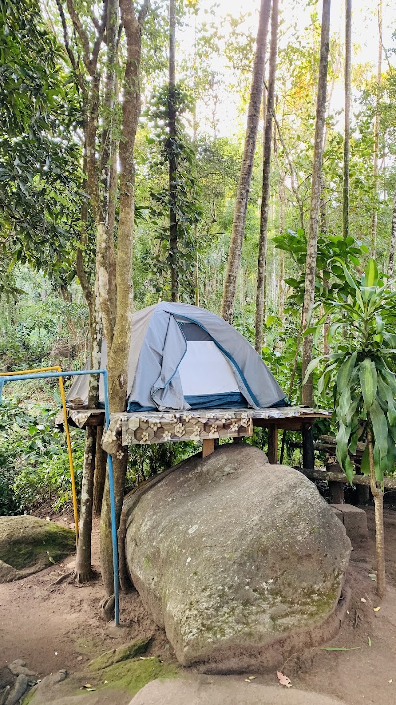 Green Camping parking room