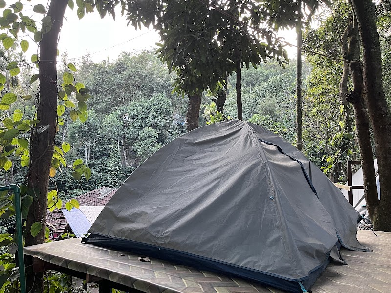 Green Camping parking stay view